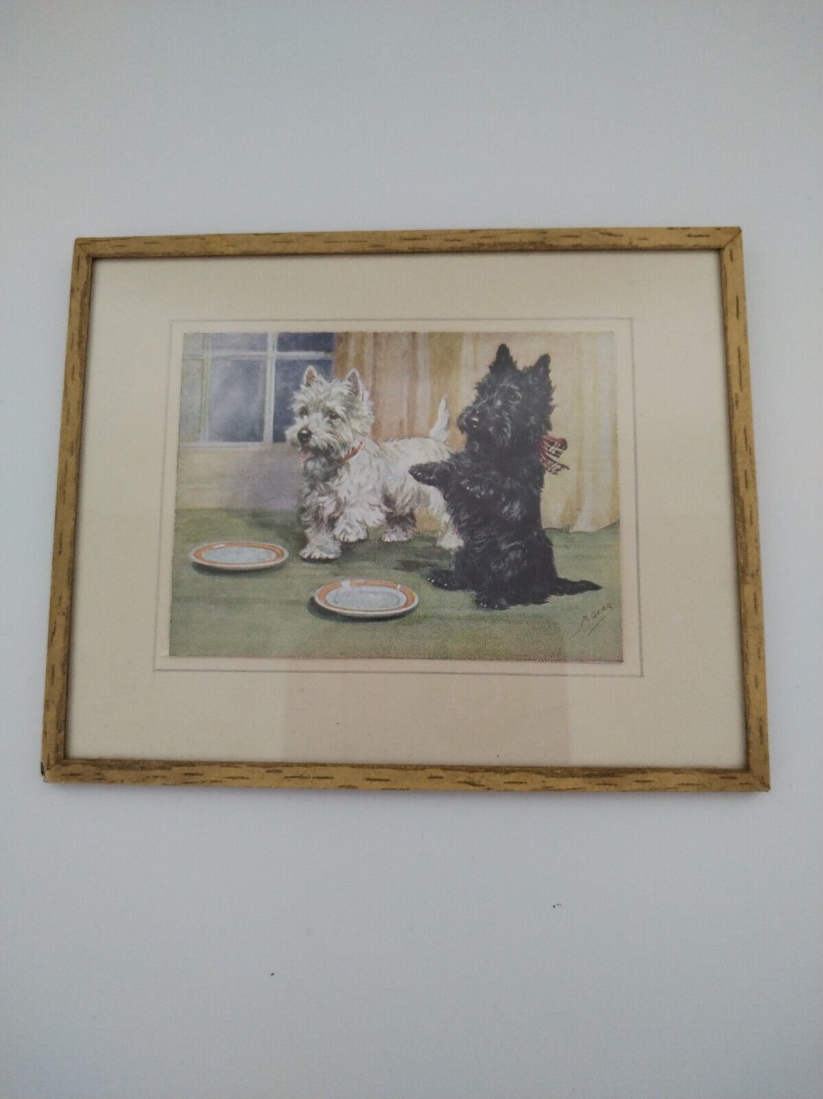 Vintage Retro 50s Framed  Print Mabel Gear Terrier  Dogs. 