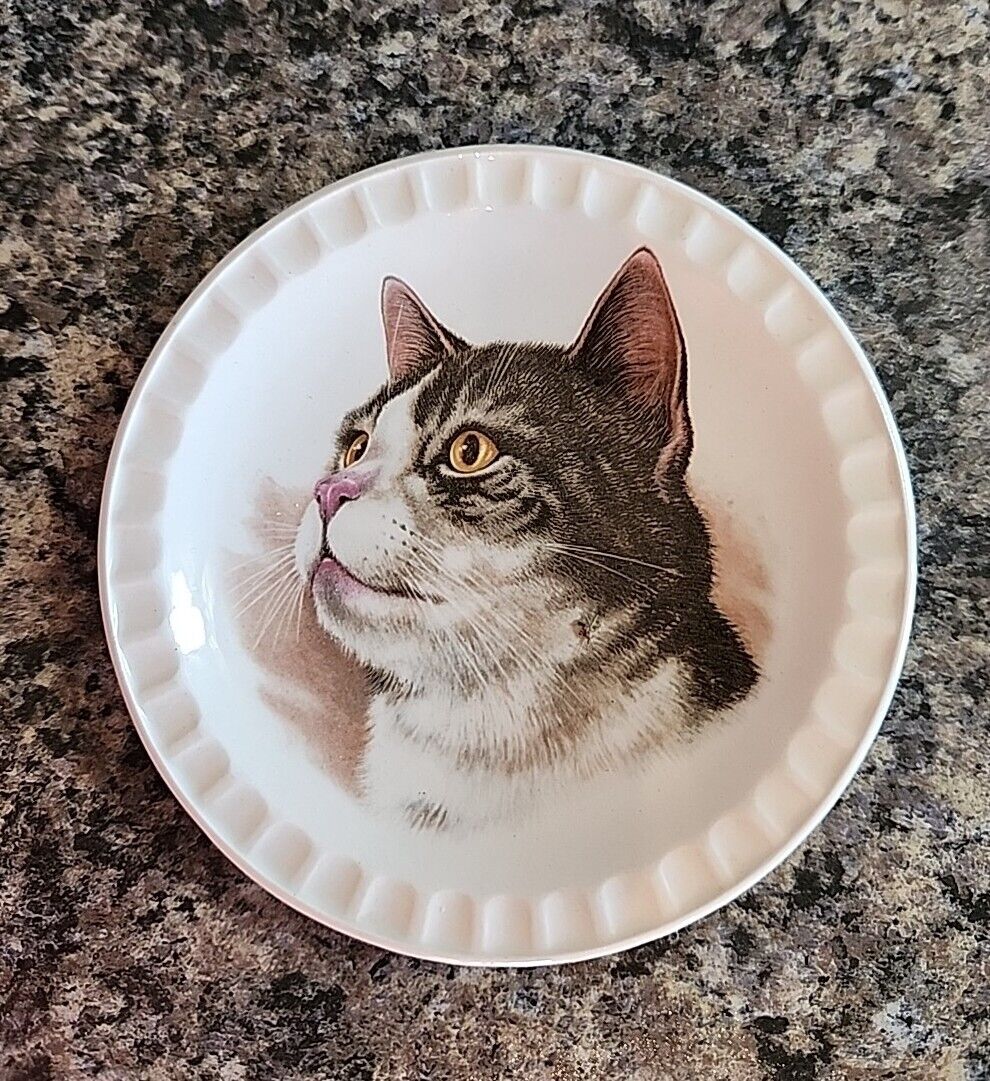 Hoffritz Porcelain Cat Plate 5\