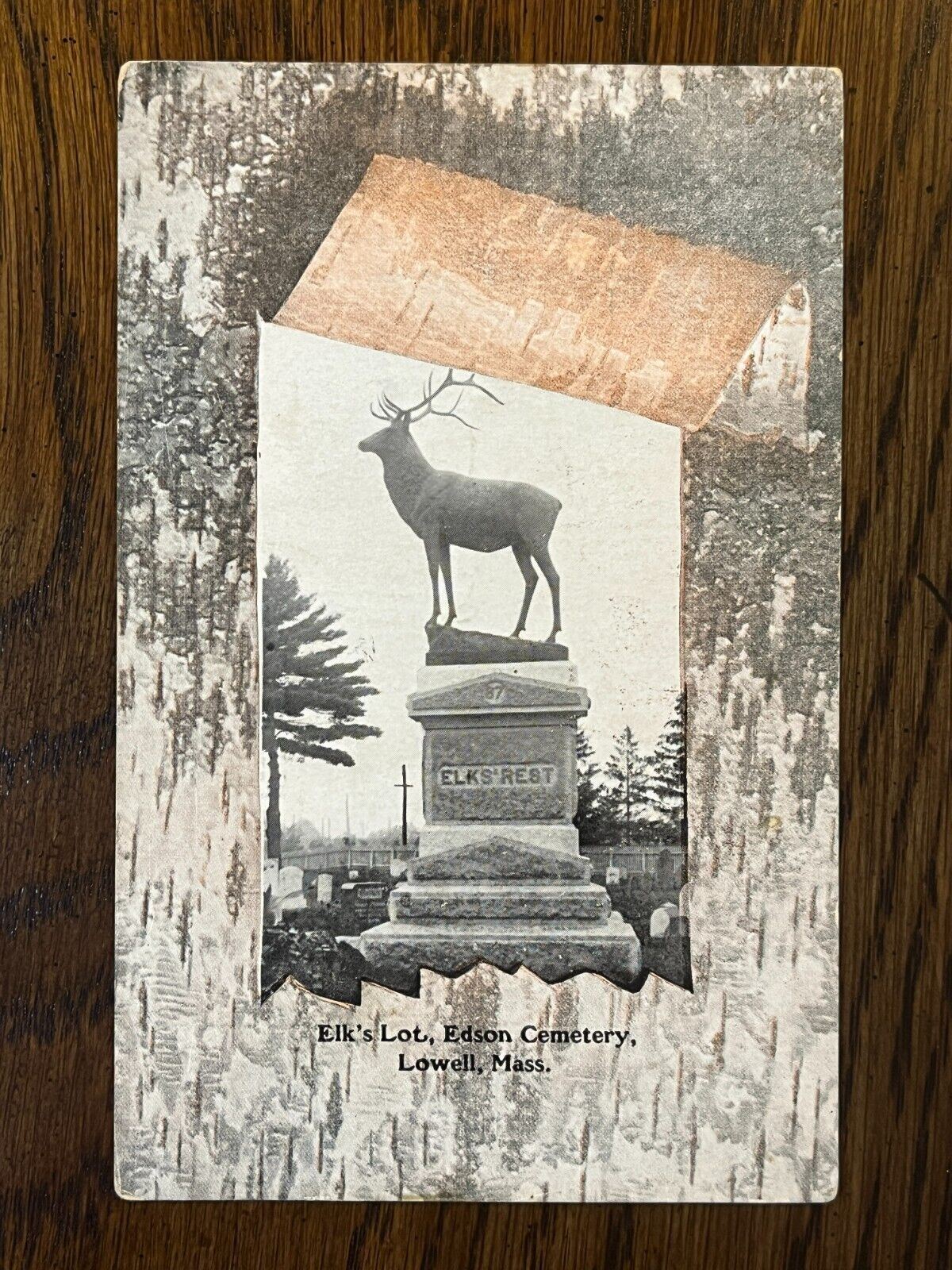 ANTIQUE POSTCARD  ELK\'S LOT  EDSON CEMETERY LOWELL, MASS  POSTED OCT 25, 1907