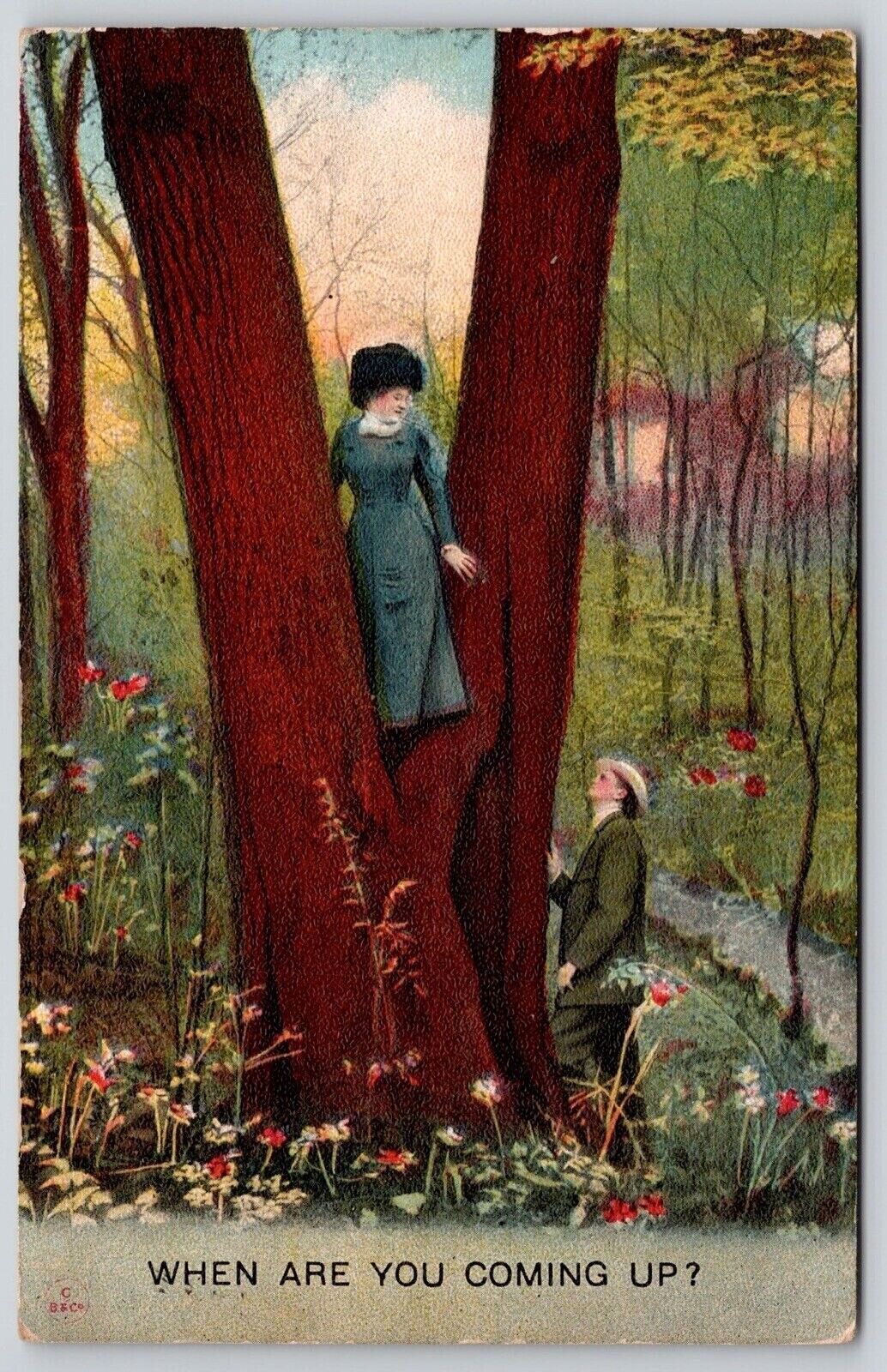 Woman In Tree Man When Are You Coming Up Antique Postcard PM Providence RI WOB