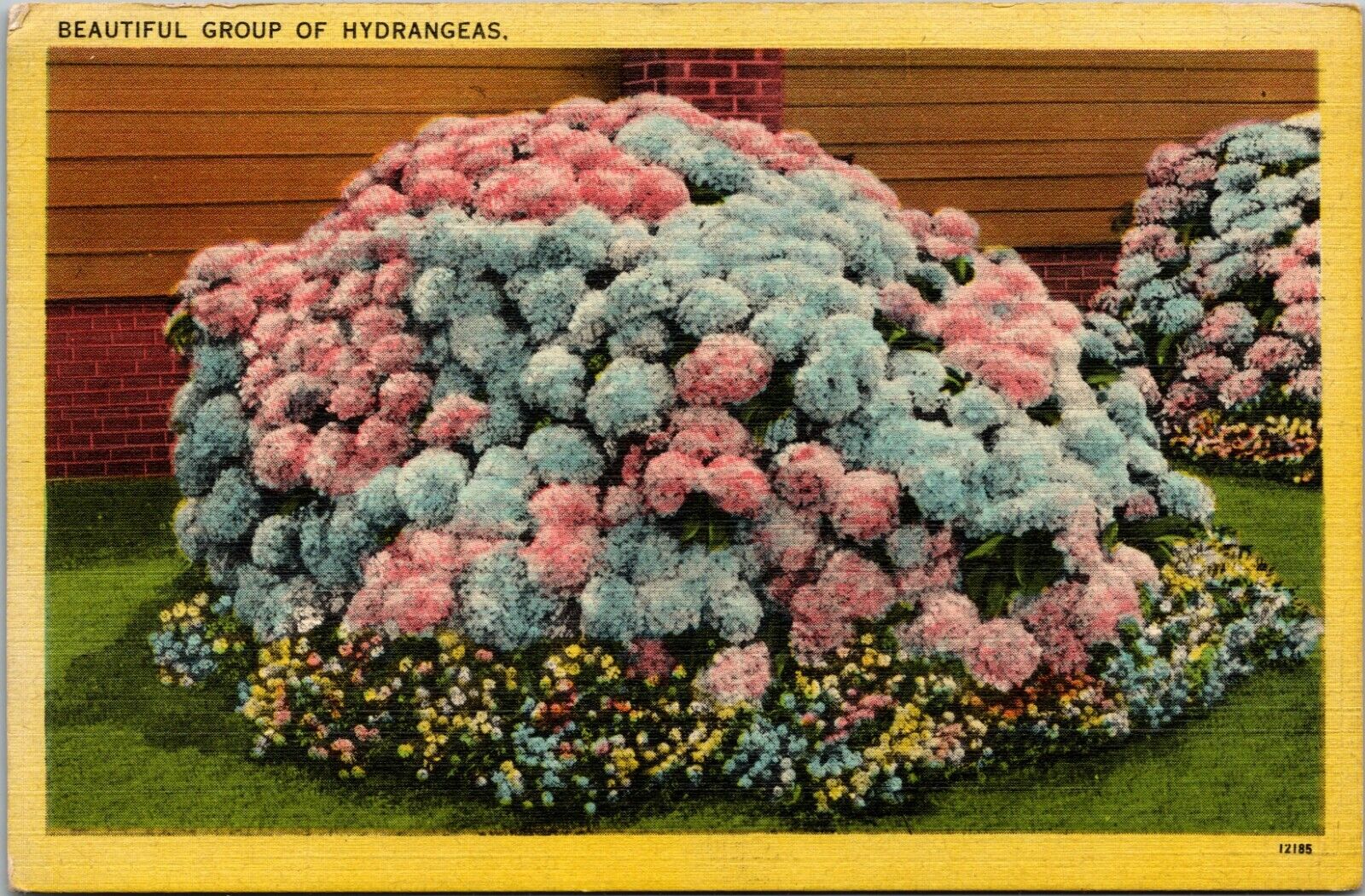 Beautiful Group of Hydrangeas Linen Postcard Flowers