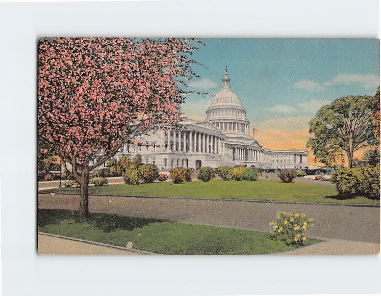Postcard The U. S. Capitol, Washington, District of Columbia