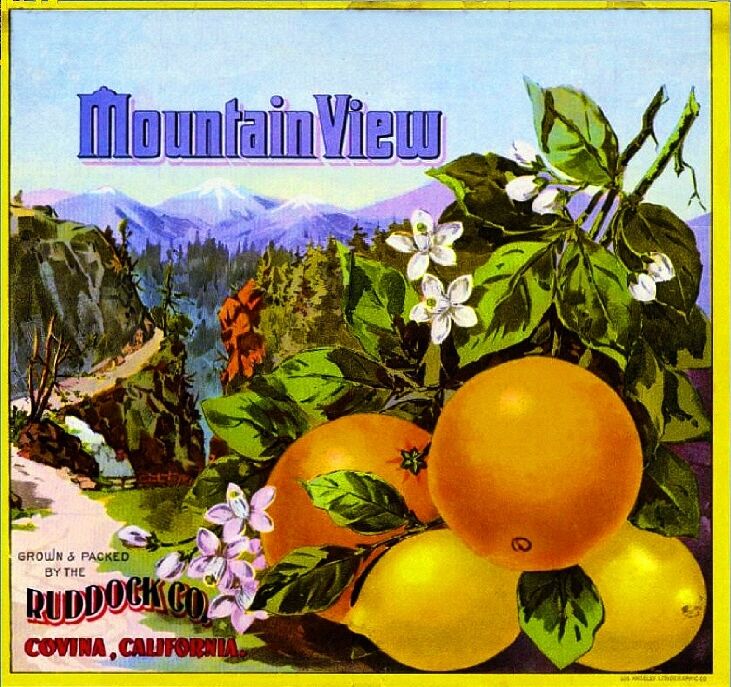Covina Los Angeles County Mountain View Orange Citrus Fruit Crate Label Print