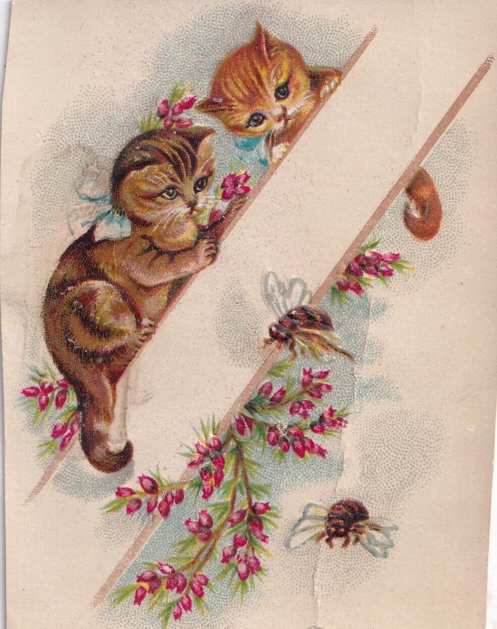 1800s Victorian Trade Card -Kitty Cat Cats Kittens Note Card
