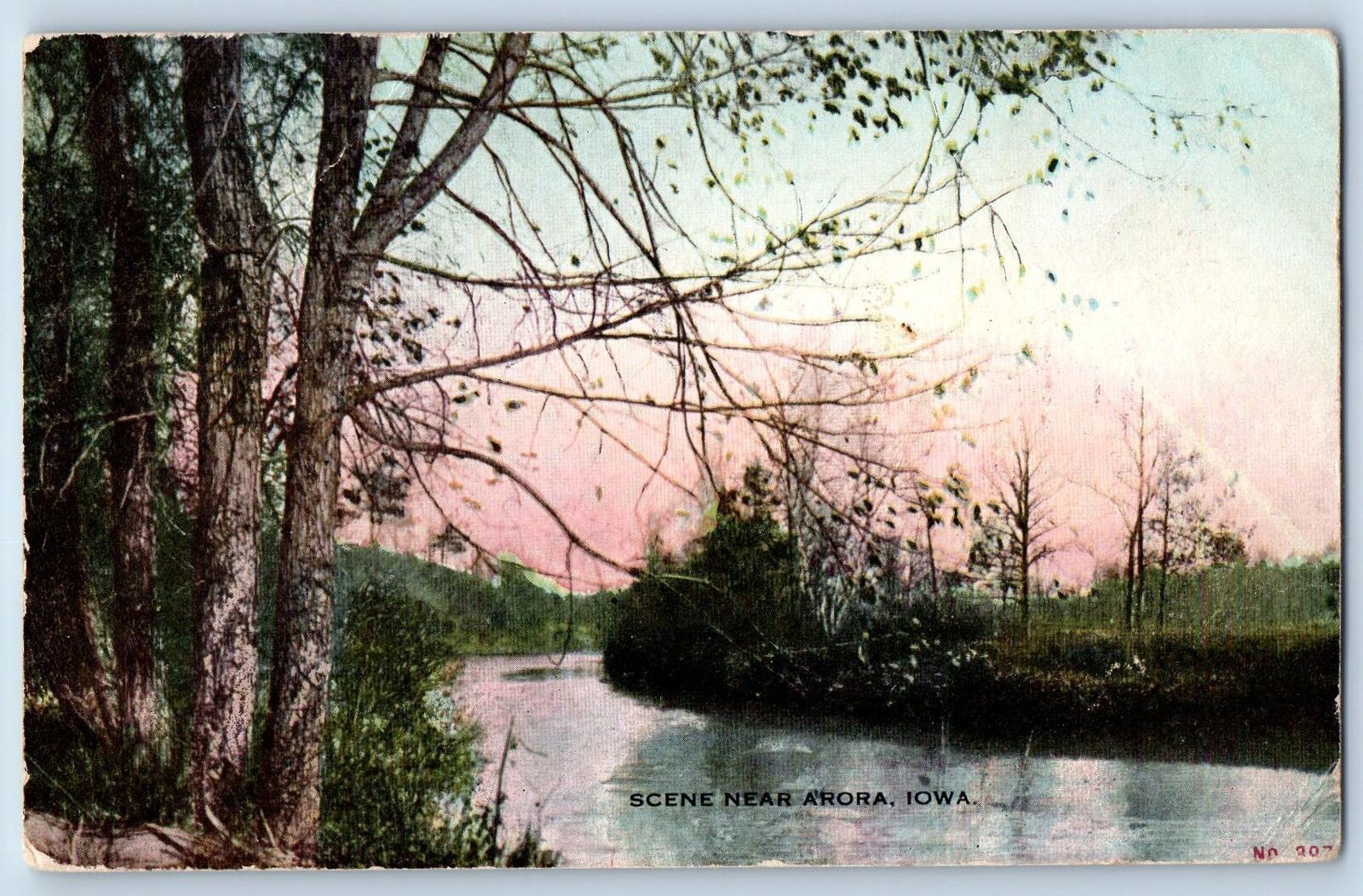 Arora Iowa IA Postcard Scenic View Of River And Trees Leaves Grass 1911 Antique