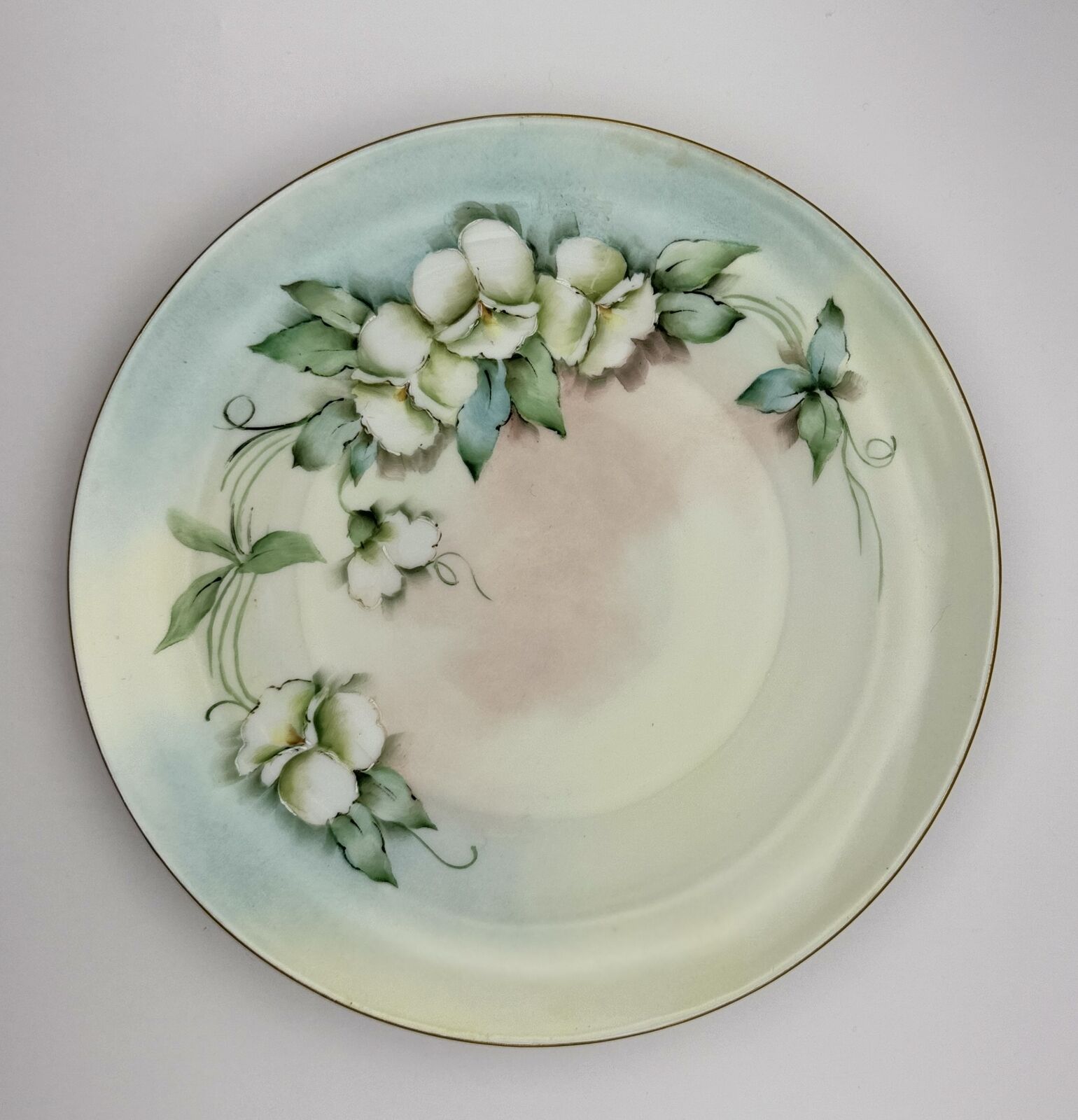 Antique Hand-Painted Porcelain Plate with Floral Design by PSL Empire Austria