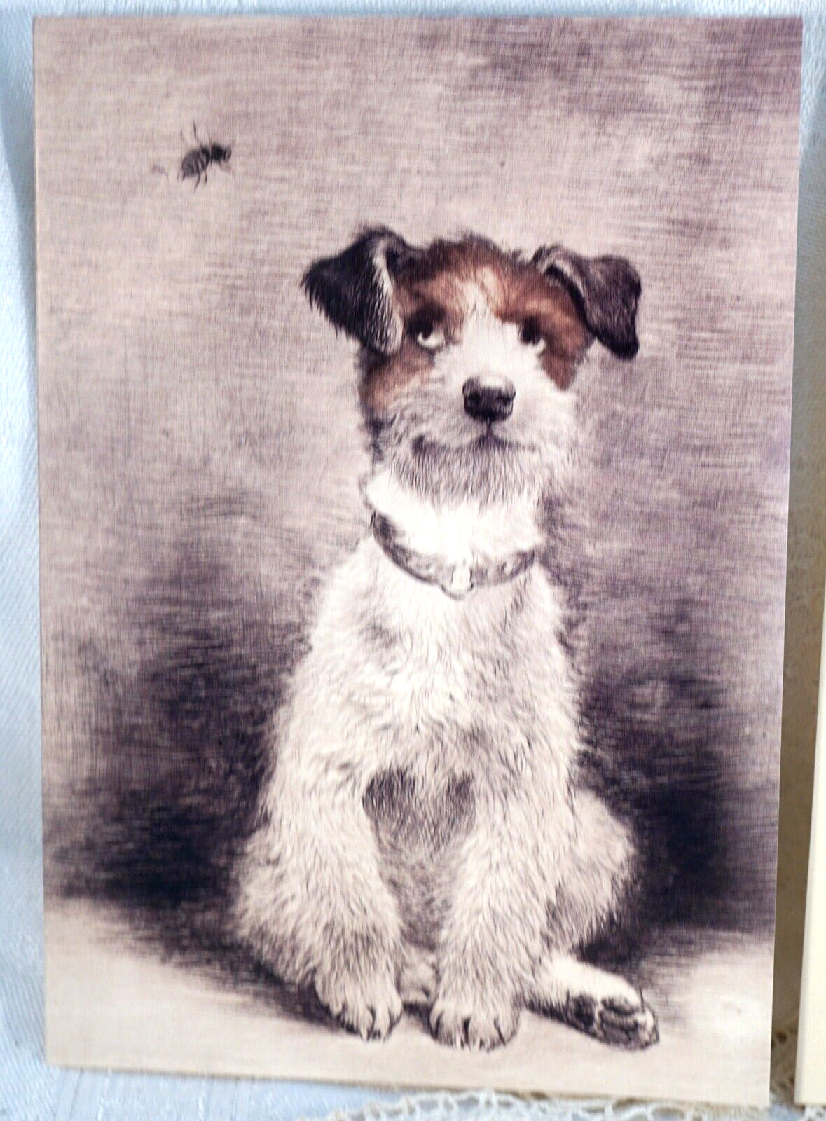 Art Card & Envelope Terrier Dog & a Bee Artikel-Nr. Kme-0173 Au Weh 