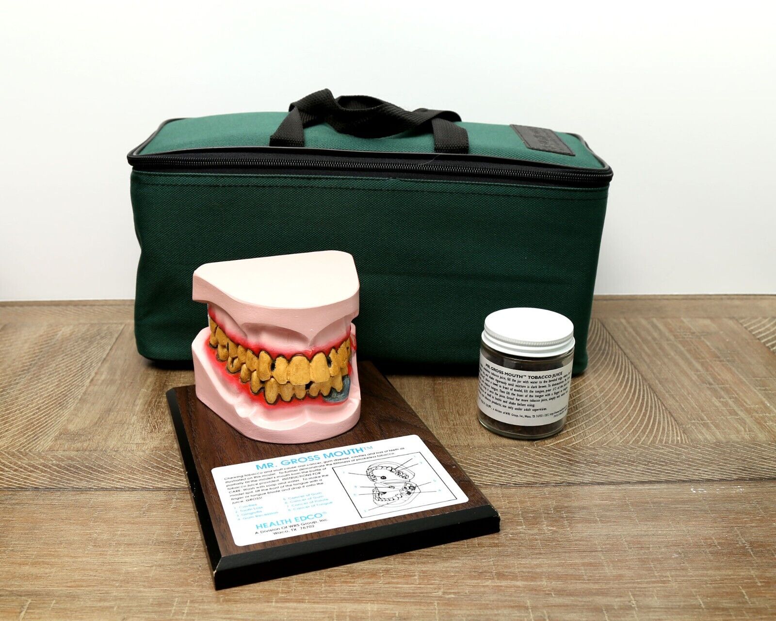 Health Edco Smokeless Tobacco Mouth Medical Model and Case
