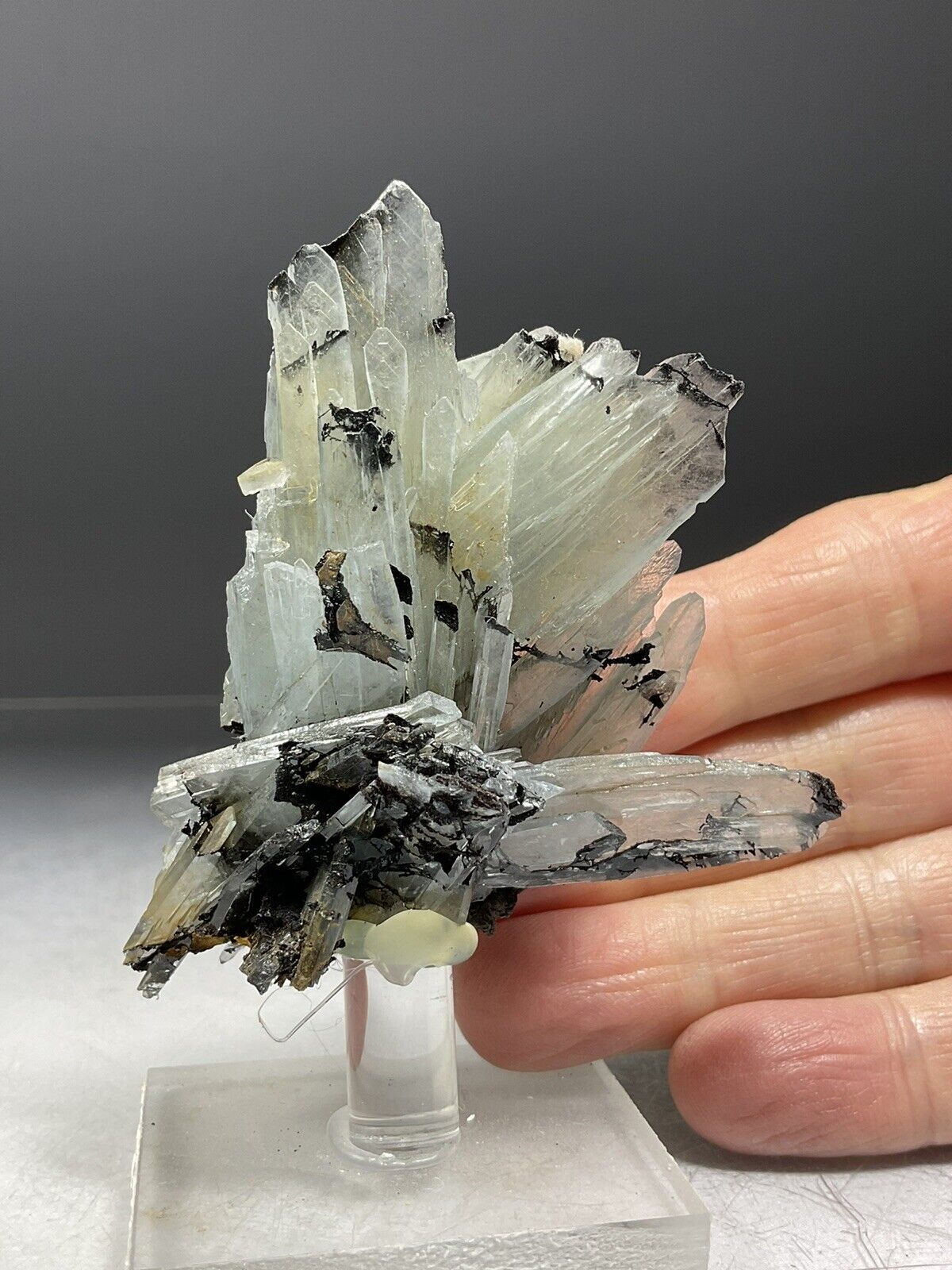 SS Rocks - Blue Barite Crystals (Nador Province, Morocco) 80g
