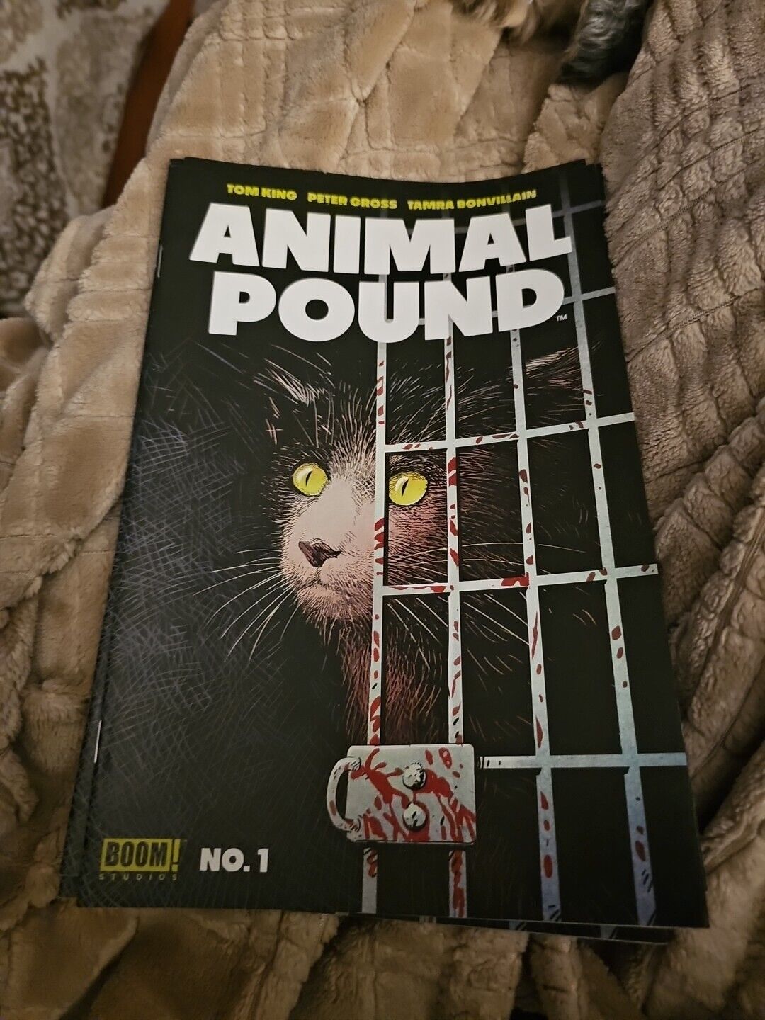 Animal Pound #1 Cover A Peter Gross BOOM 2023 NM