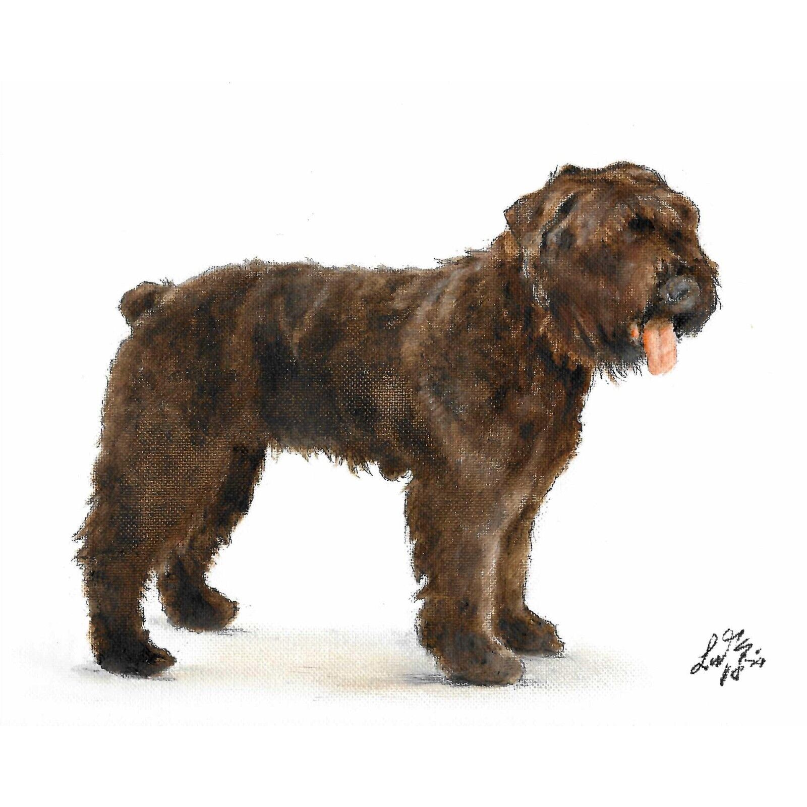 ✿ ORIGINAL Oil Dog Portrait Painting BOUVIER DES FLANDRES Artist Signed Artwork