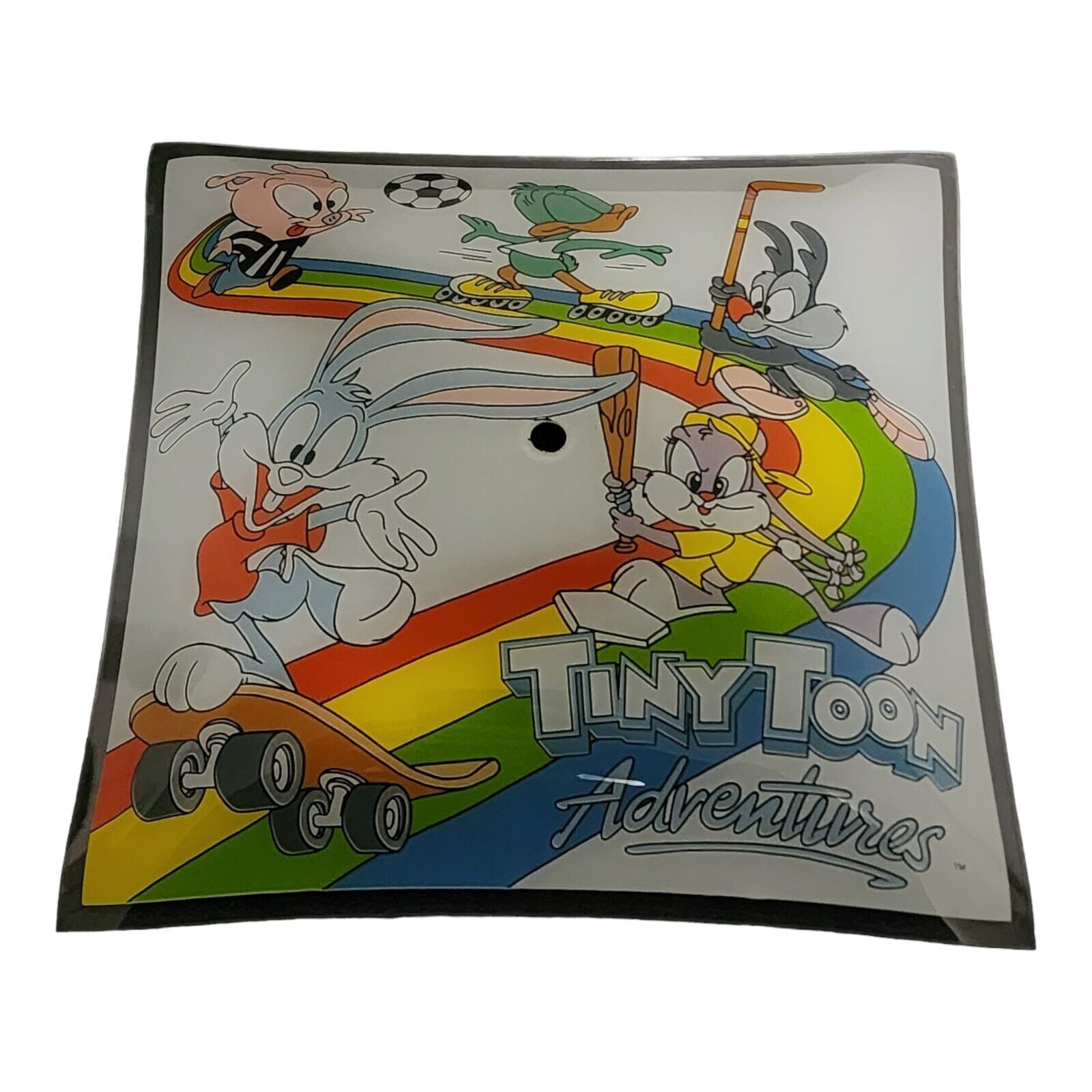 VTG Looney Tunes Tiny Toon Adventures Art Glass Light Fixture Cover Shade 12x12”