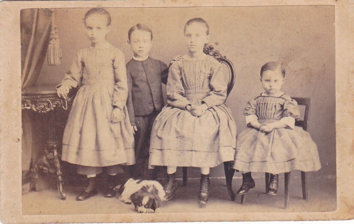 1860s CDV Photo of 4 Children With Family Dog Christianstad Sweden
