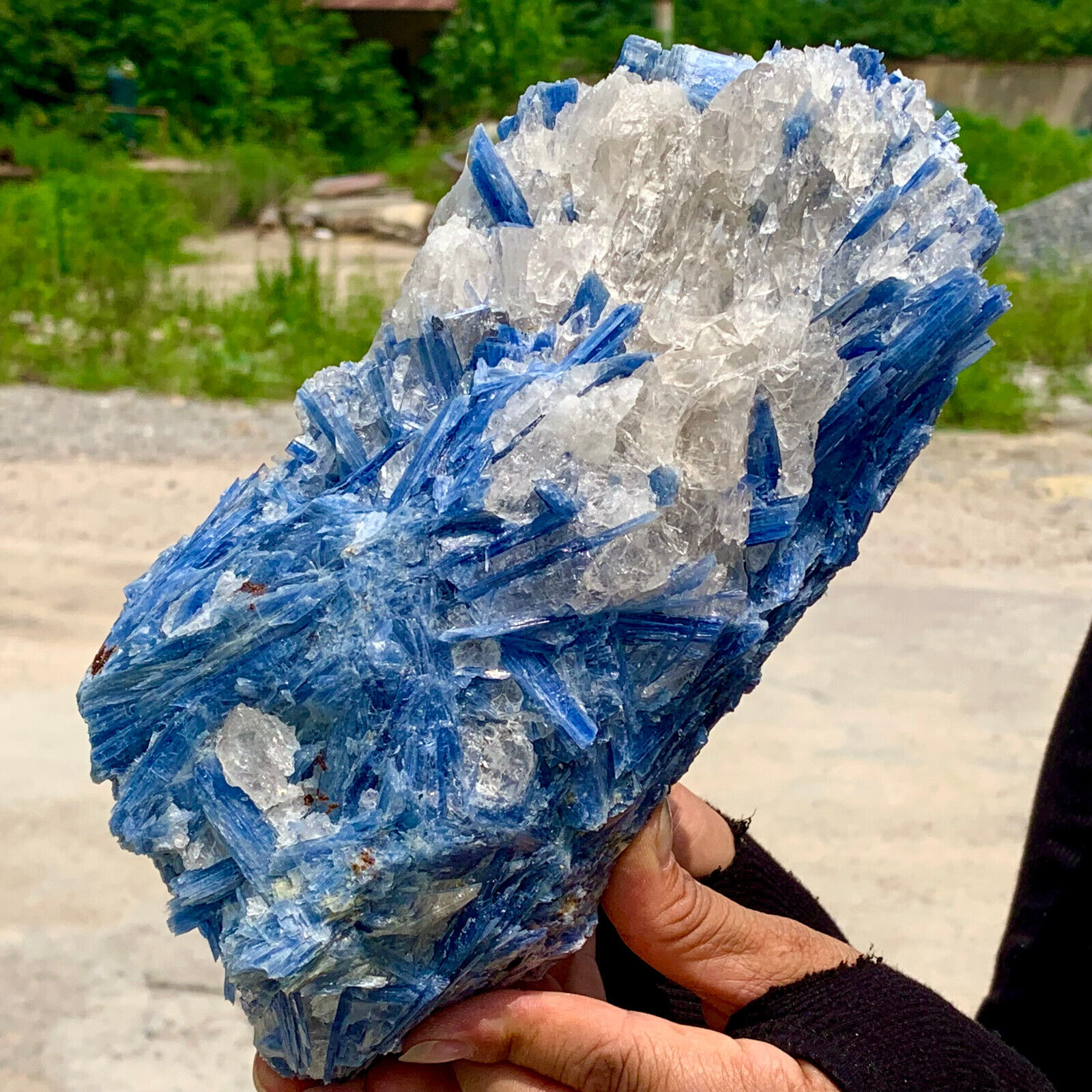 5.58LB  Rare Natural beautiful Blue KYANITE with Quartz Crystal Specimen Rough