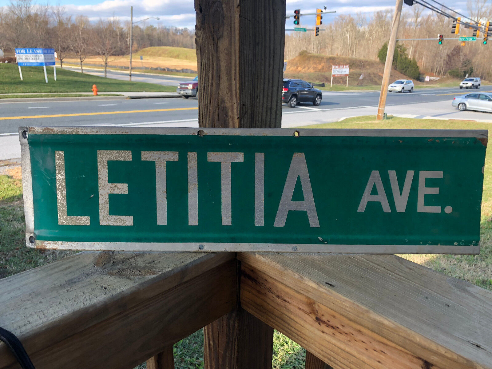 Letitia Ave. Metal Transportation Street Road Sign Green White 24.75\