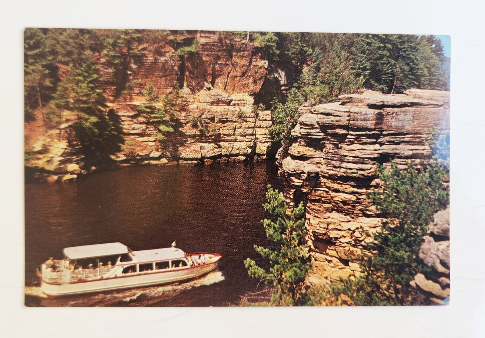 Upper Dells of the Wisconsin River Vintage Divided Back Postcard Unposted