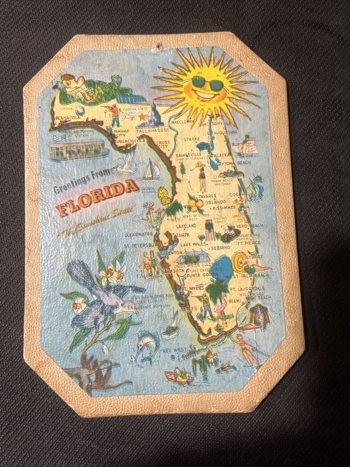 Vintage Florida Hanging Decor Linoleum Feel Postcard Sunshine State Sunny Beach
