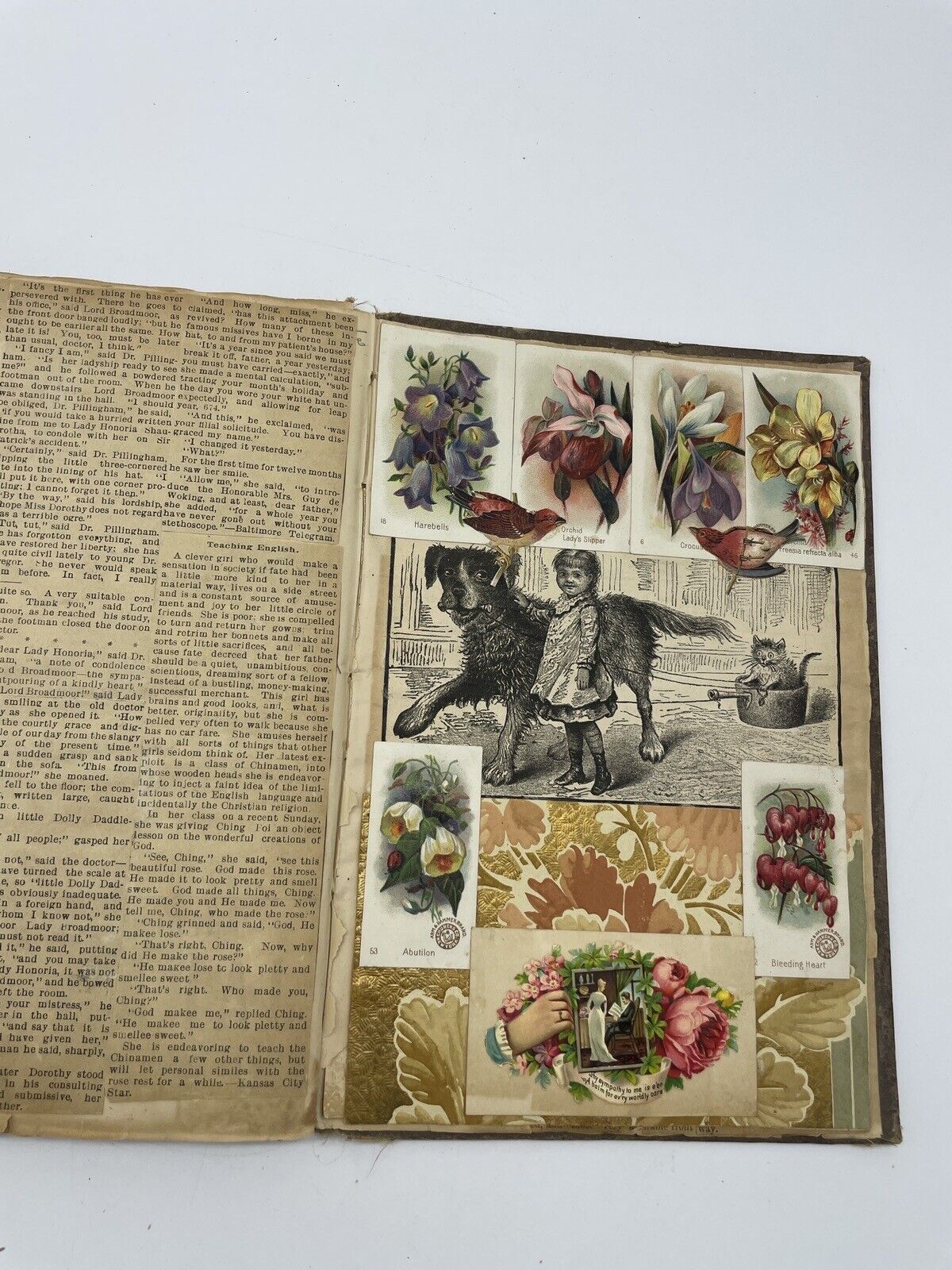 Antique Victorian Scrapbook Articles Flowers Cutouts Illustrations Late 1800\'s