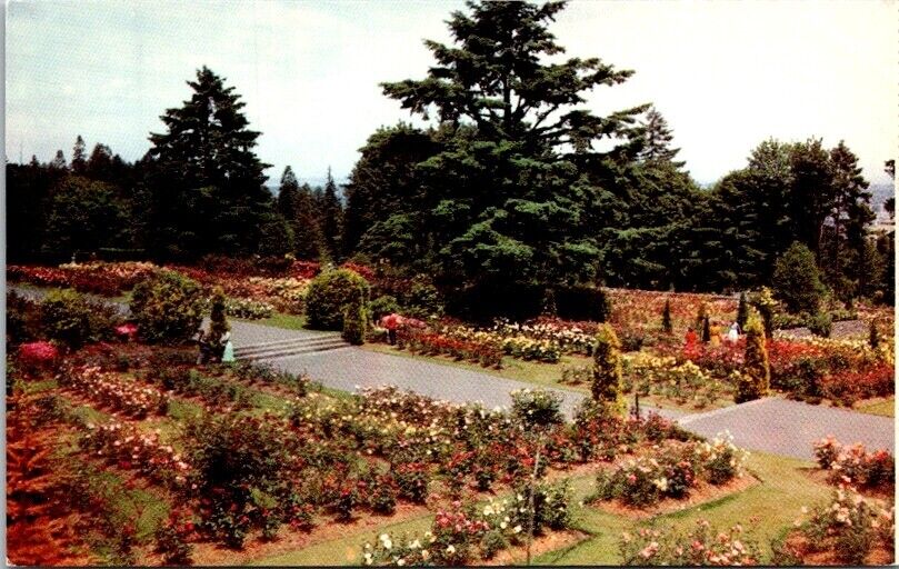 Vintage Postcard Washinton Park Rose Garden Portland WA Washington          X117