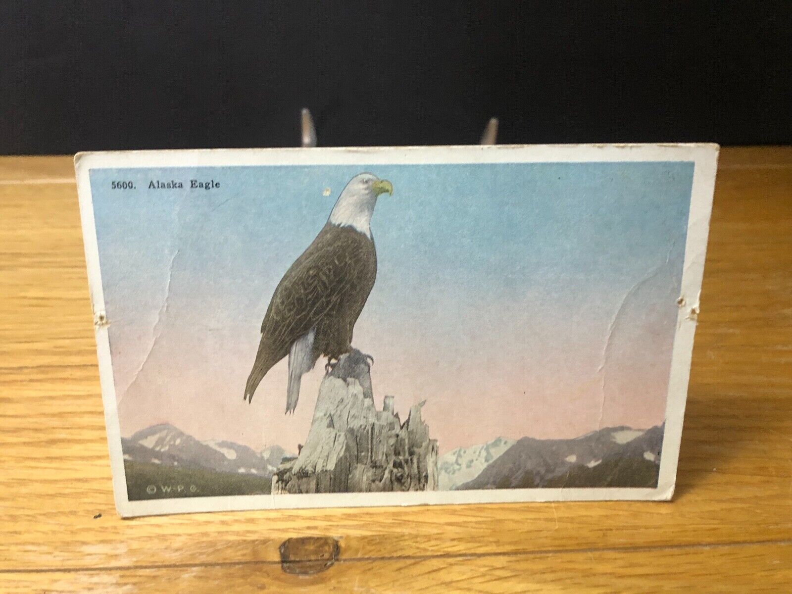 1910 Valdez Mail Leaving Eagle Alaska Woodruff Photographer RARE POSTCARD