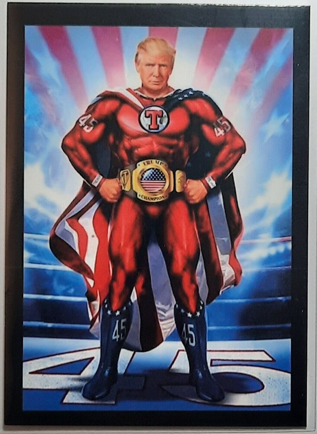 NEW 2022 Collect Trump Trading Card The Champion