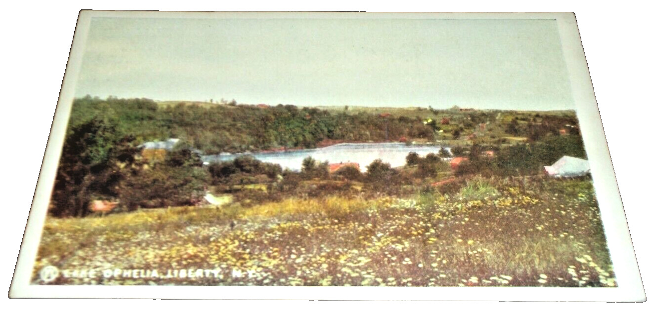 1905 NEW YORK ONTARIO & WESTERN NYO&W COMPANY POST CARD LAKE OPHELIA LIBERTY