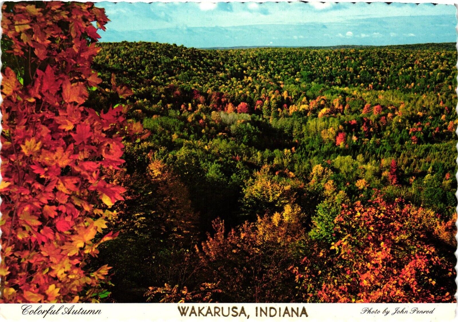 Continental Postcard Colorful Autumn Wakarusa Indiana