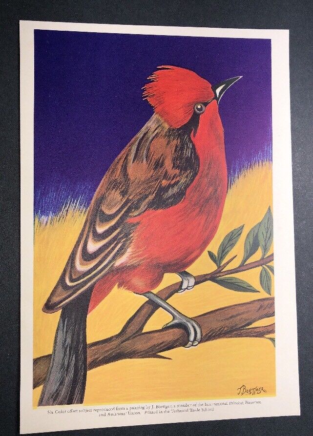 ORIGINAL Print Red breasted bird signed Art J . Boettger c 1920\'s