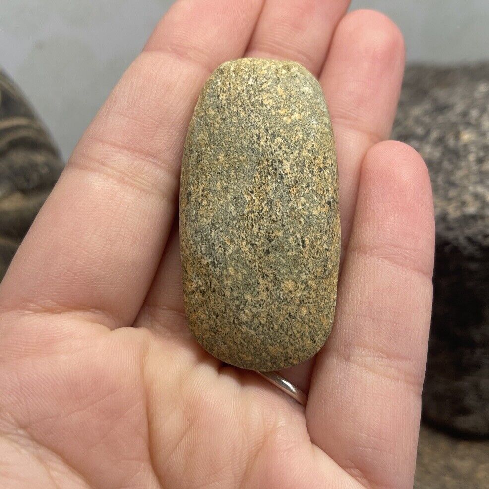 MLC s1789 Neolithic Mini Hardstone Stone Celt Sahara Desert Africa Old Artifact