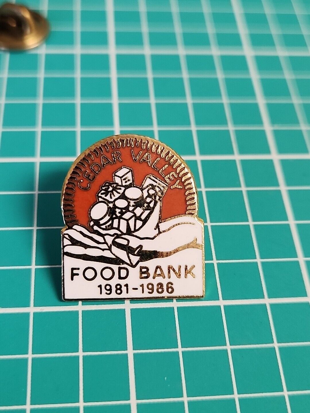 Vintage 1986 Cedar Valley Food Bank Gold Tone Lapel Pin Hat Pin Tie Tack