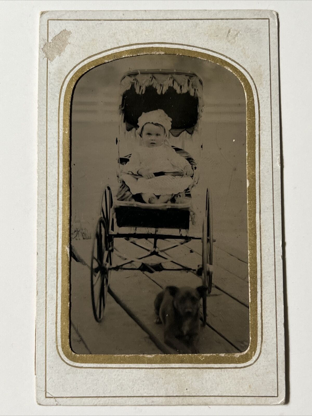 RARE BABY in PRAM w DOG porch Stroller antique 1870s Tintype Photo TIN Type