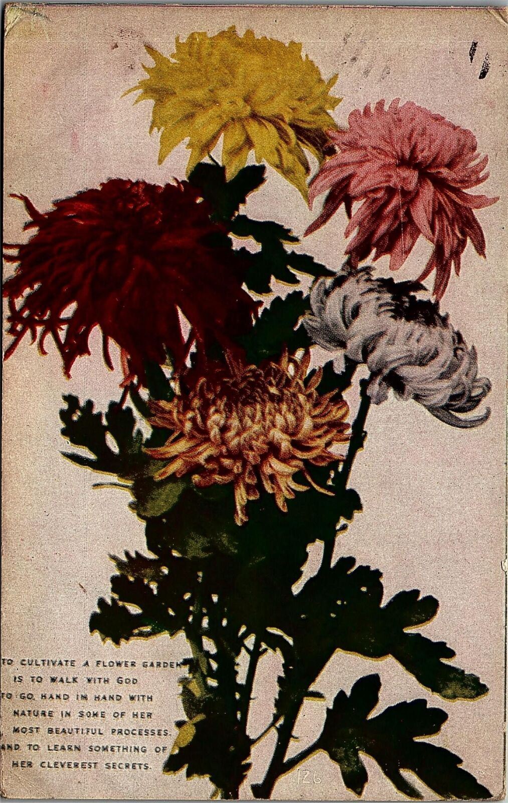 1909 TO CULTIVATE A FLOWER GARDEN IS TO WALK WITH GOD FLORAL POSTCARD 39-34