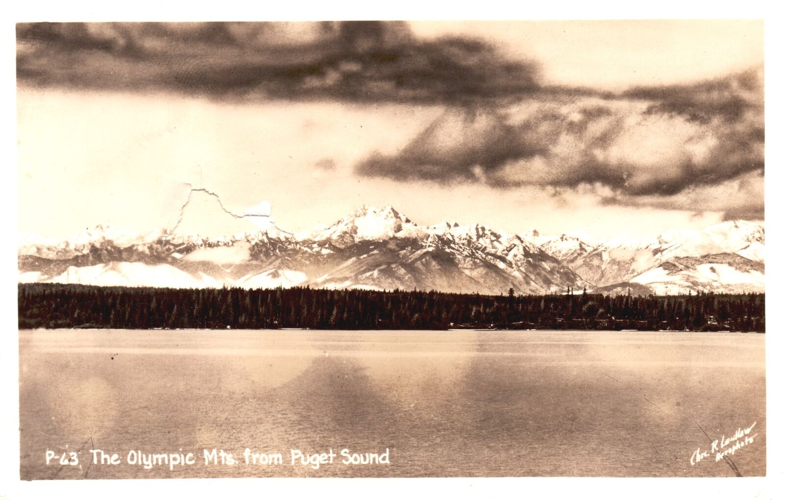 Vintage Postcard Real Photo Olympic Mountains From Puget Sound Washington RPPC