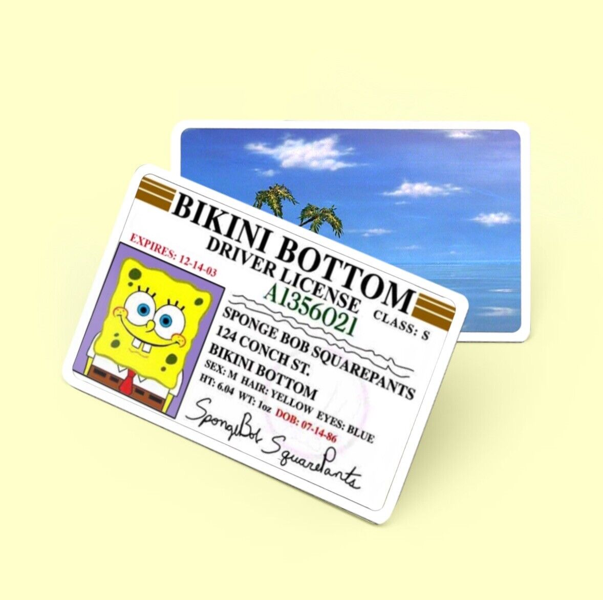 SpongeBob Squarepants Driver License Printed PVC Custom Card Fun Gag Gift