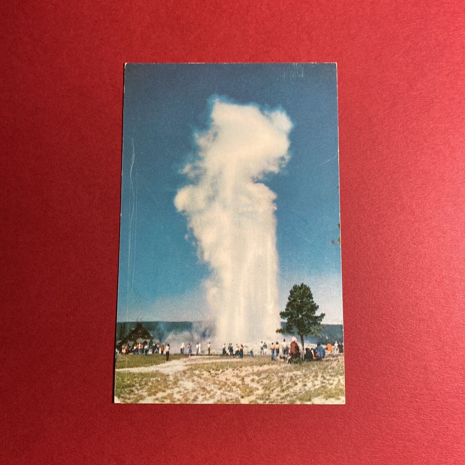 (1) Vintage Photo Old Faithful Geyser Postcard Yellowstone National Park, WY