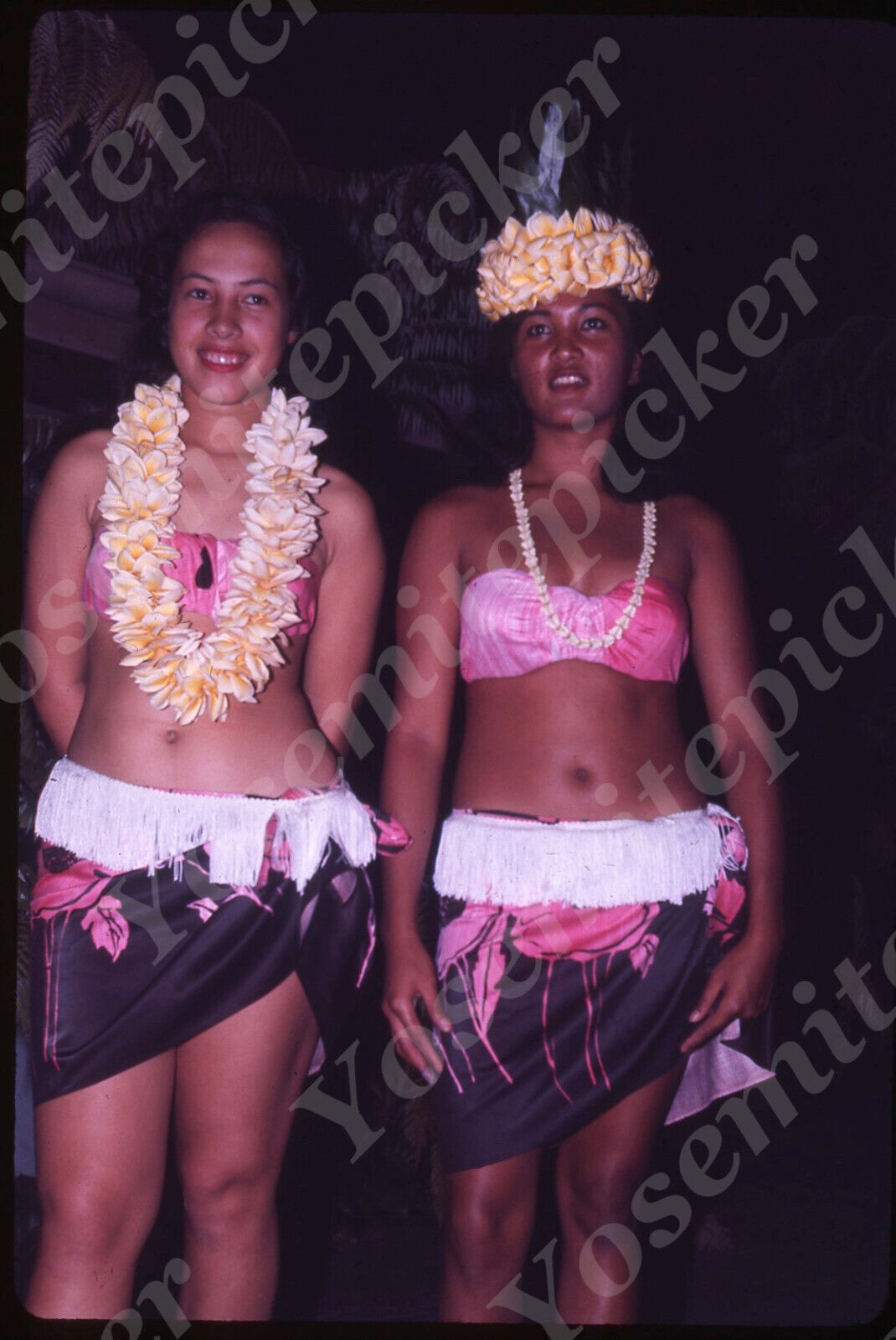 sl64 Original Slide 1965 Hawaii stunning young ladies 484a