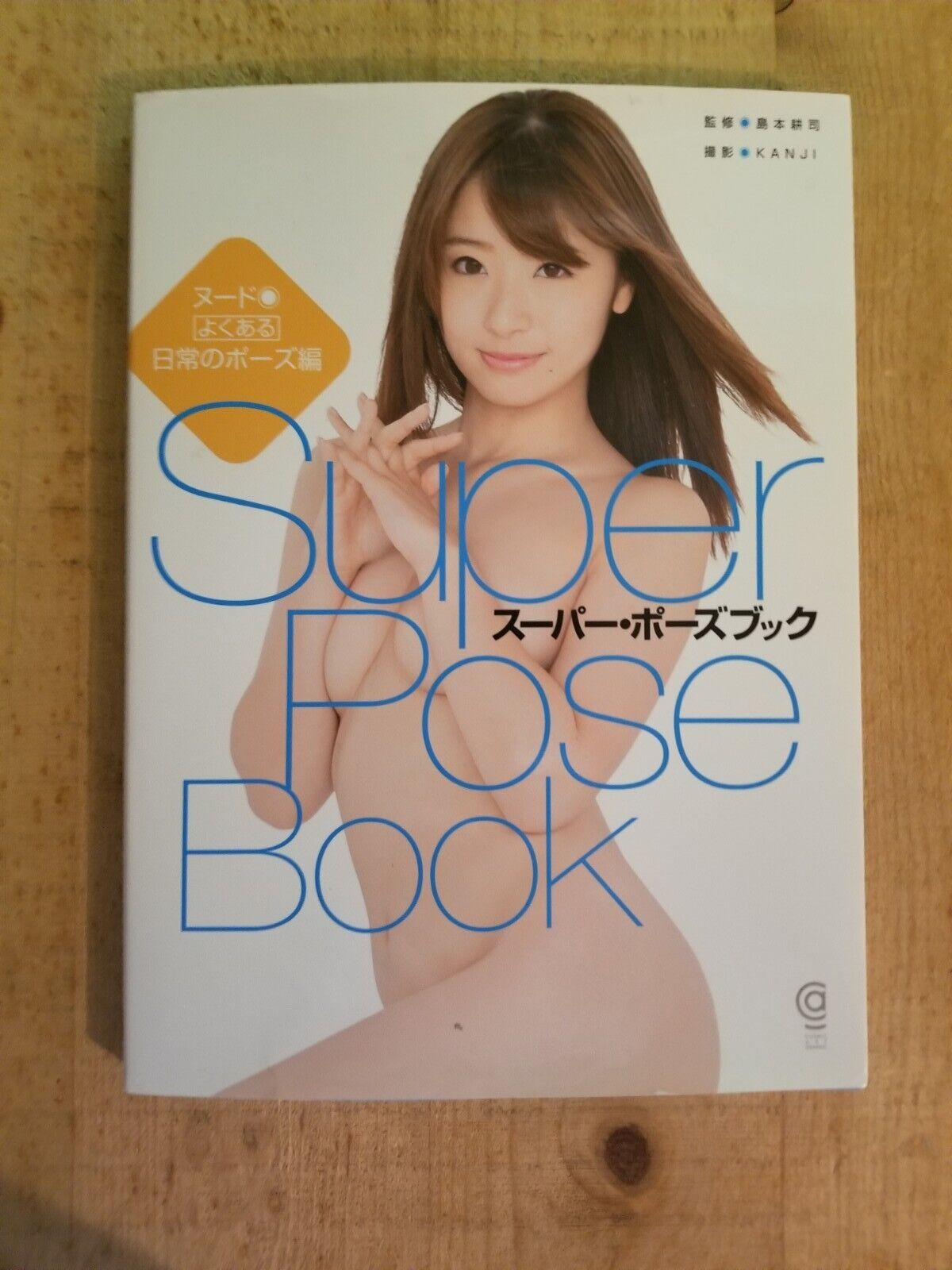 Super Pose Book  How To Draw Posing Art Book From Japan