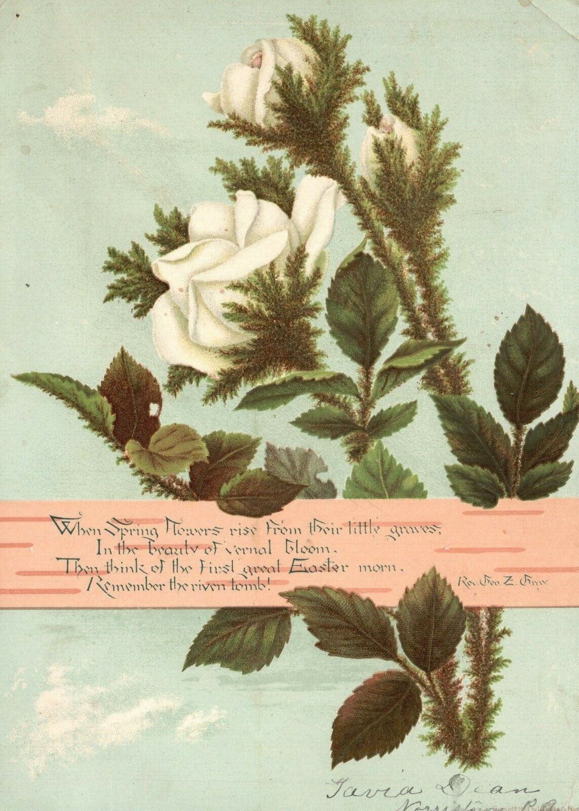 1880s-90s White Rose Flowers Greetings Spring Flowers Rise Trade Card