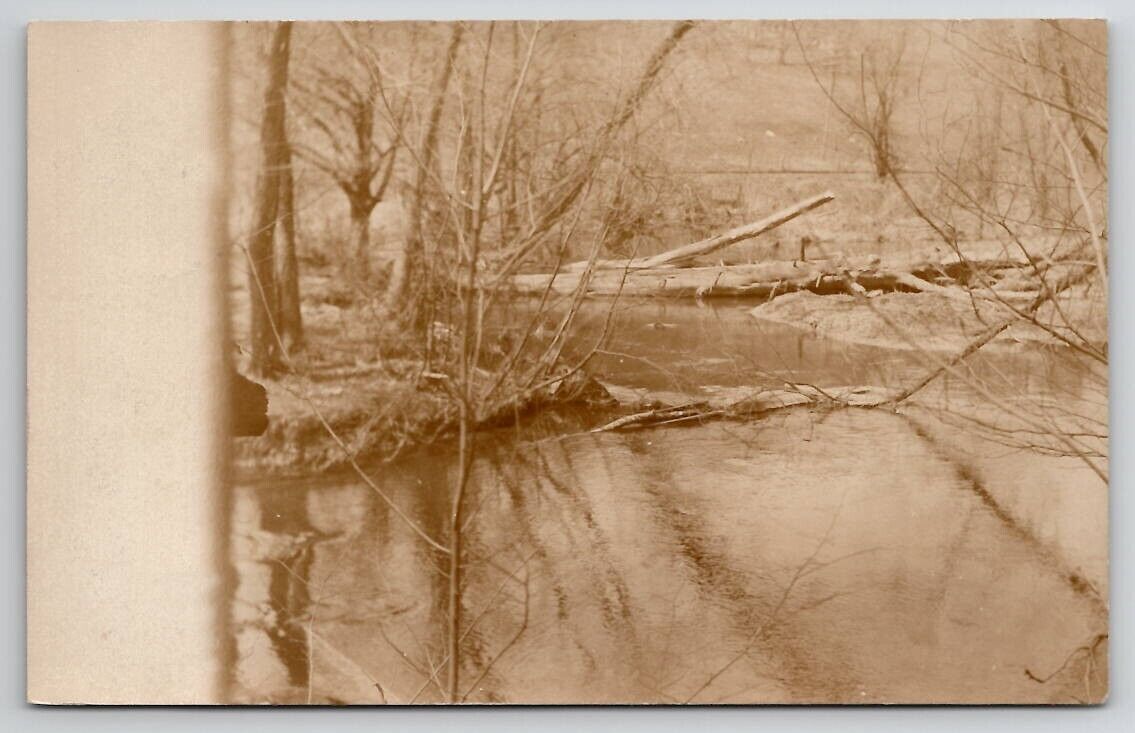 RPPC Woodland Scene Fallen Trees Over Creek c1905 Real Photo Postcard B43