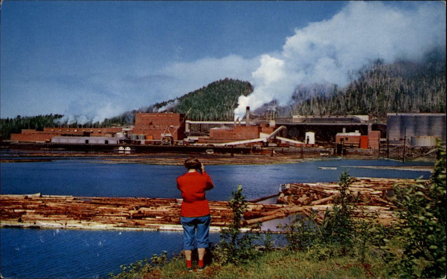 Alaska Pulp Mills logs floating ~ postcard  sku577