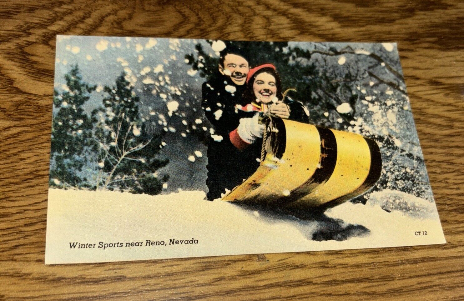 Winter Sports Near Reno Nevada Vintage Postcard
