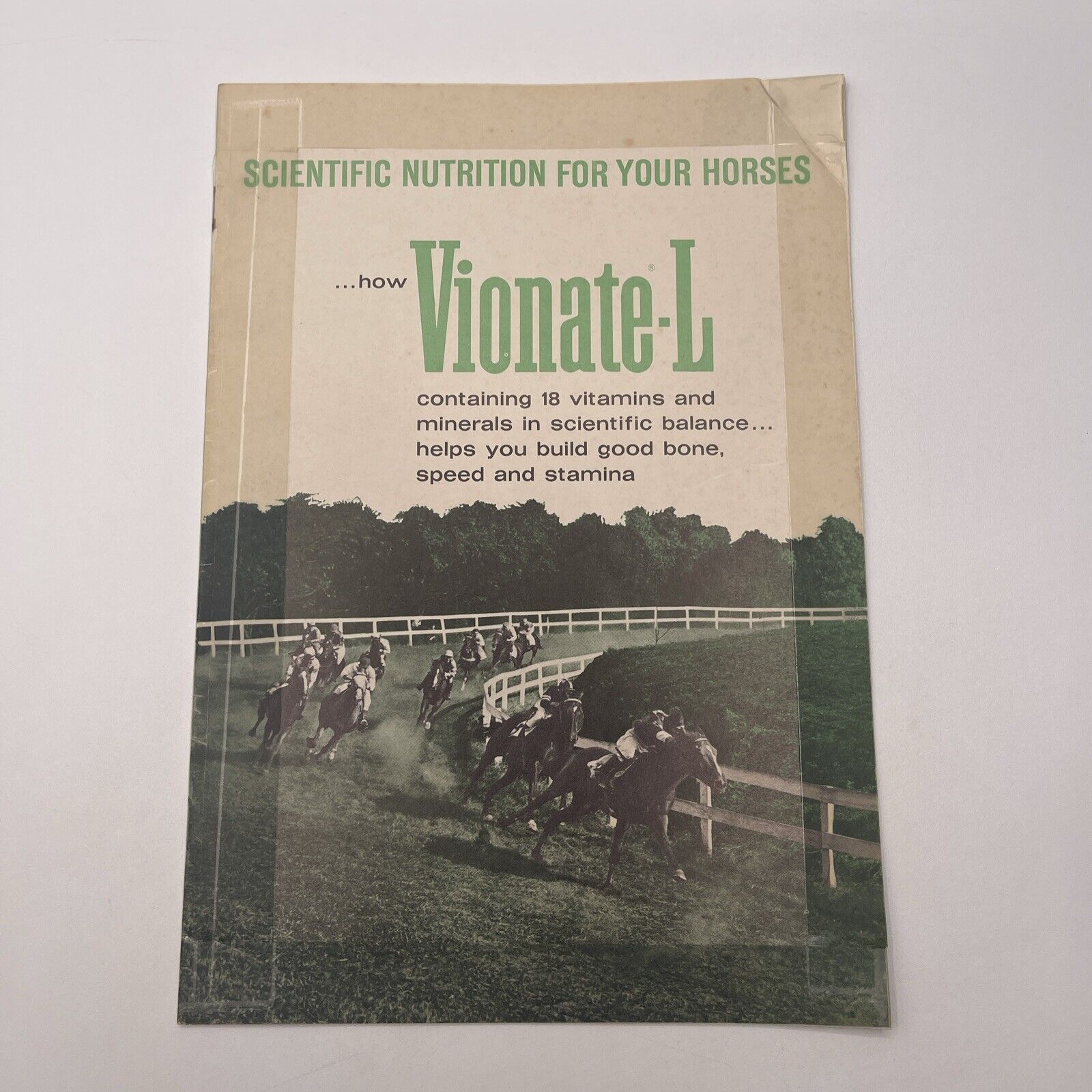 Scientific Nutrition For Your Horses Vionate-L Brochure c1964