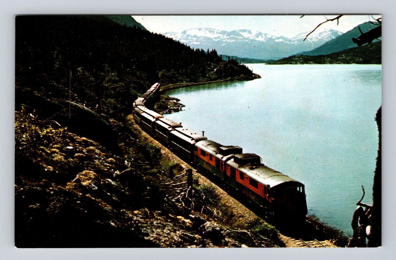 White Pass & Yukon Railway Skirts Shores Historic Lake Bennett, Vintage Postcard