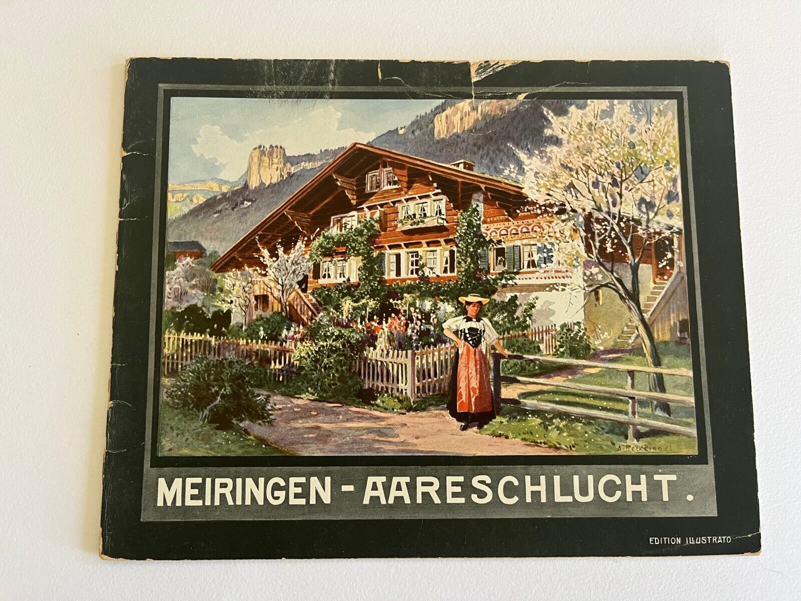 c. 1900 ~ MEIRINGEN ~ Souvenir-Album views SWISS ALPS Switerland antique travel