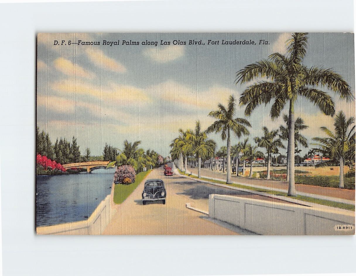 Postcard Famous Royal Palms Along Las Olas Boulevard Fort Lauderdale Florida USA