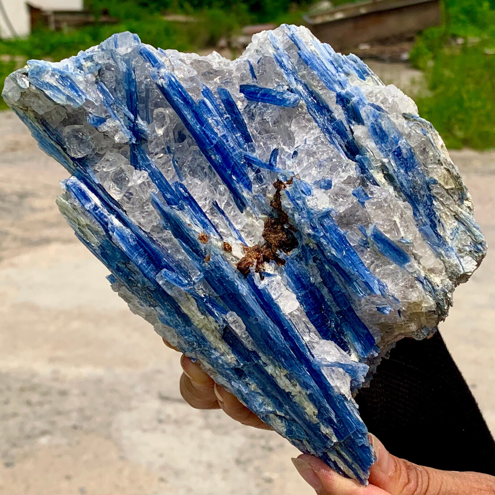 2.78LB  Rare Natural beautiful Blue KYANITE with Quartz Crystal Specimen Rough