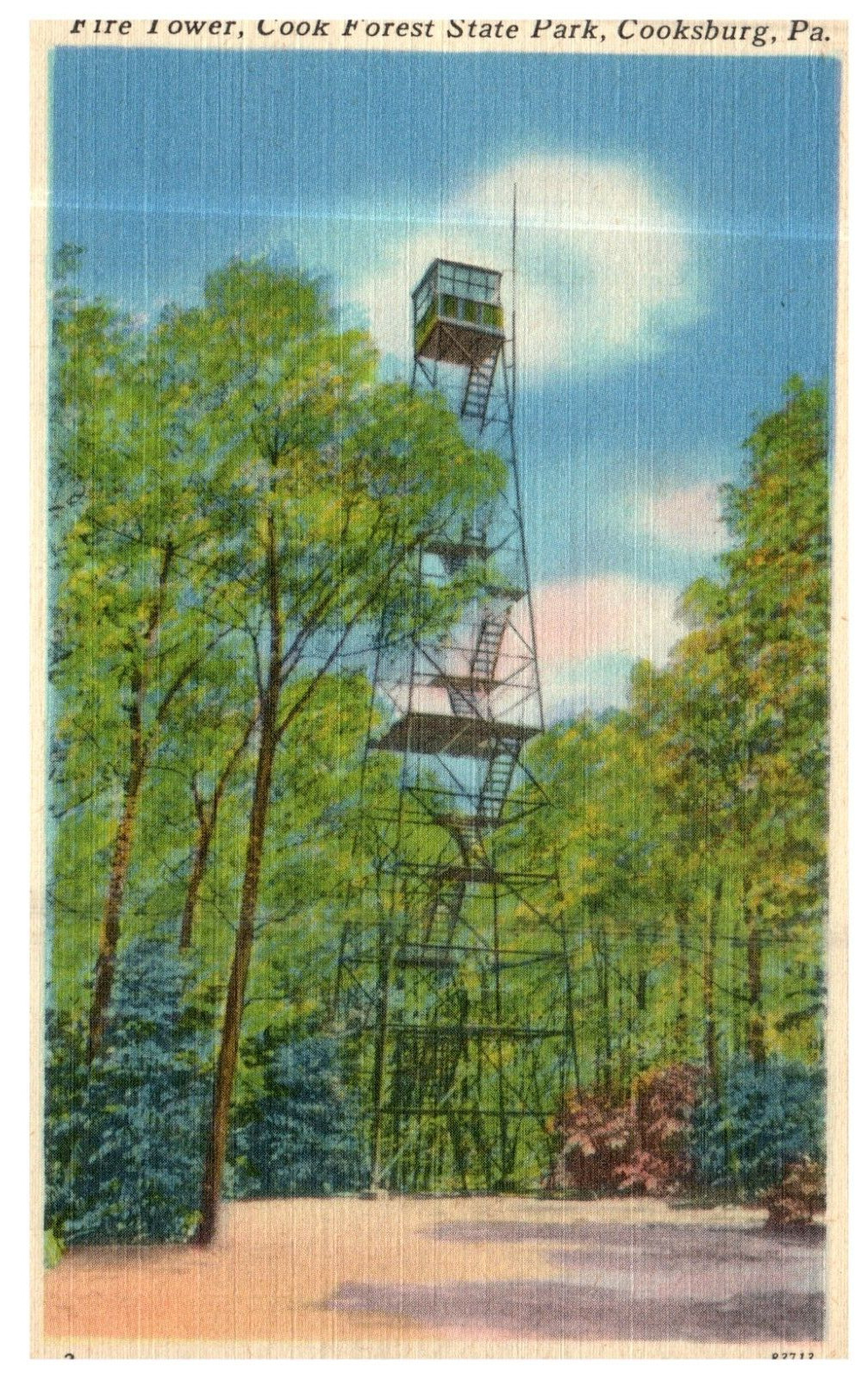 Pennsylvania Cook Forest State Park Fire Tower c1930 Vintage PA Postcard-Q2-44