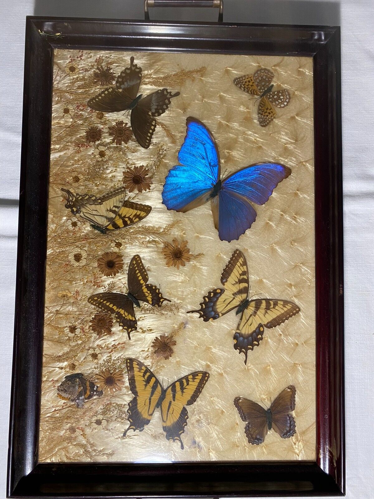 Vintage Brazilian Butterfly Wing Inlaid Wood Serving Tray