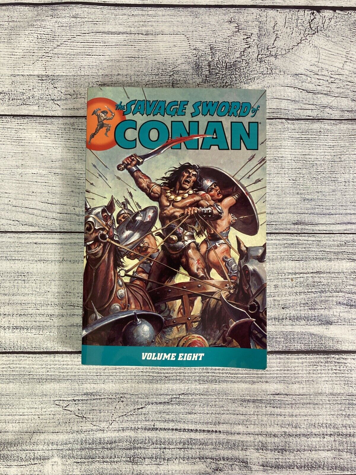 The Savage Sword of Conan Vol 8 Michael Fleisher Jim Neal Robert E Howard
