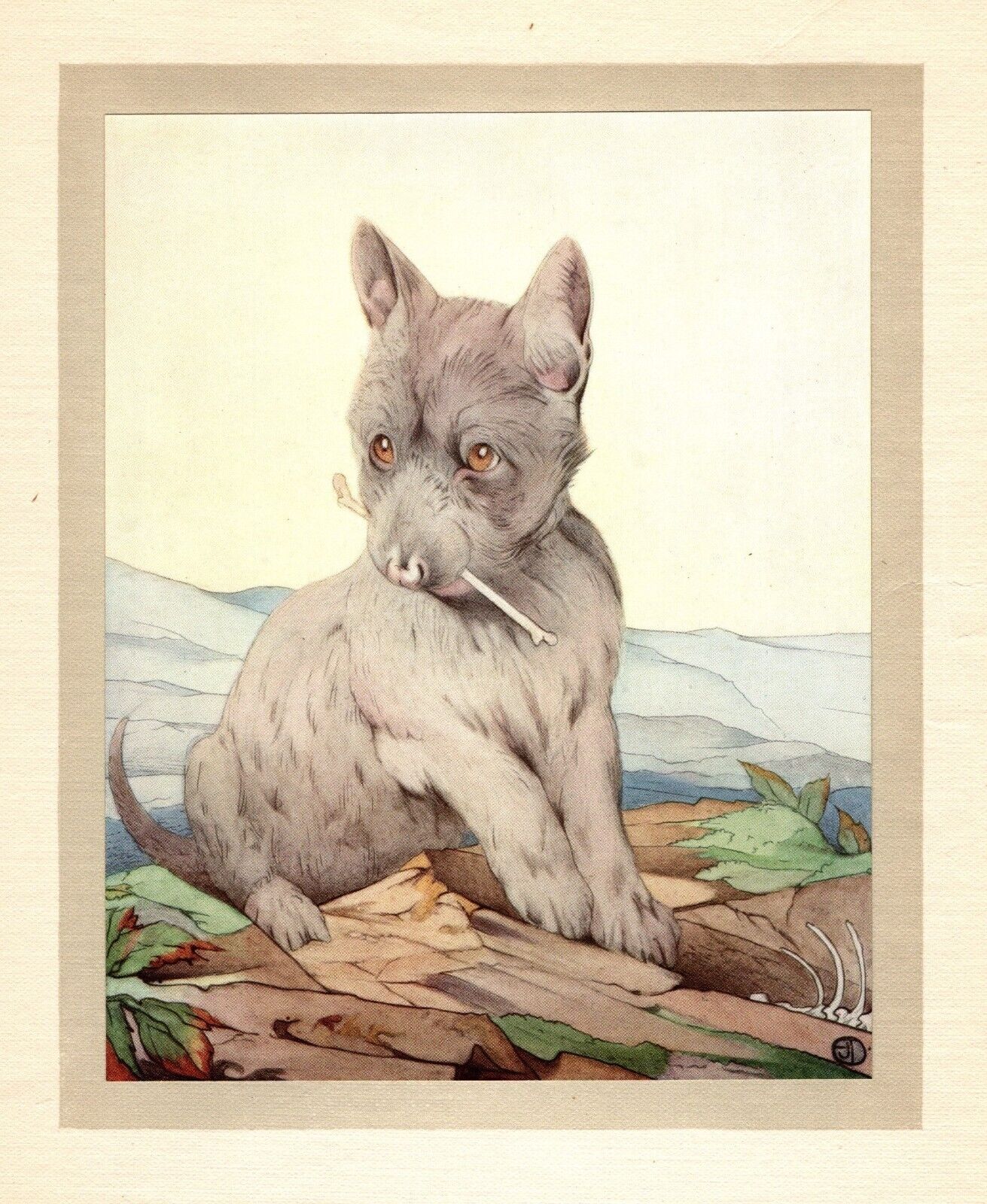 Antique Scottish Terrier Print c1915 E J Detmold Dog Art Illustration 5154L